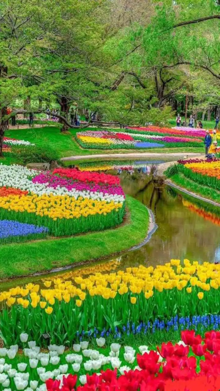 1319066-untitled-design-2023-11-16t203840.063