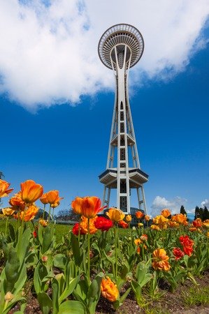 47880012-space-needle-tower-view-from-below-with-orange-tulips-in-seattle-washington-usa