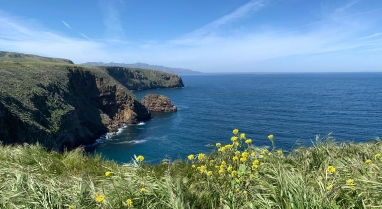 10.CHANNEL ISLAND NATIONAL PARK