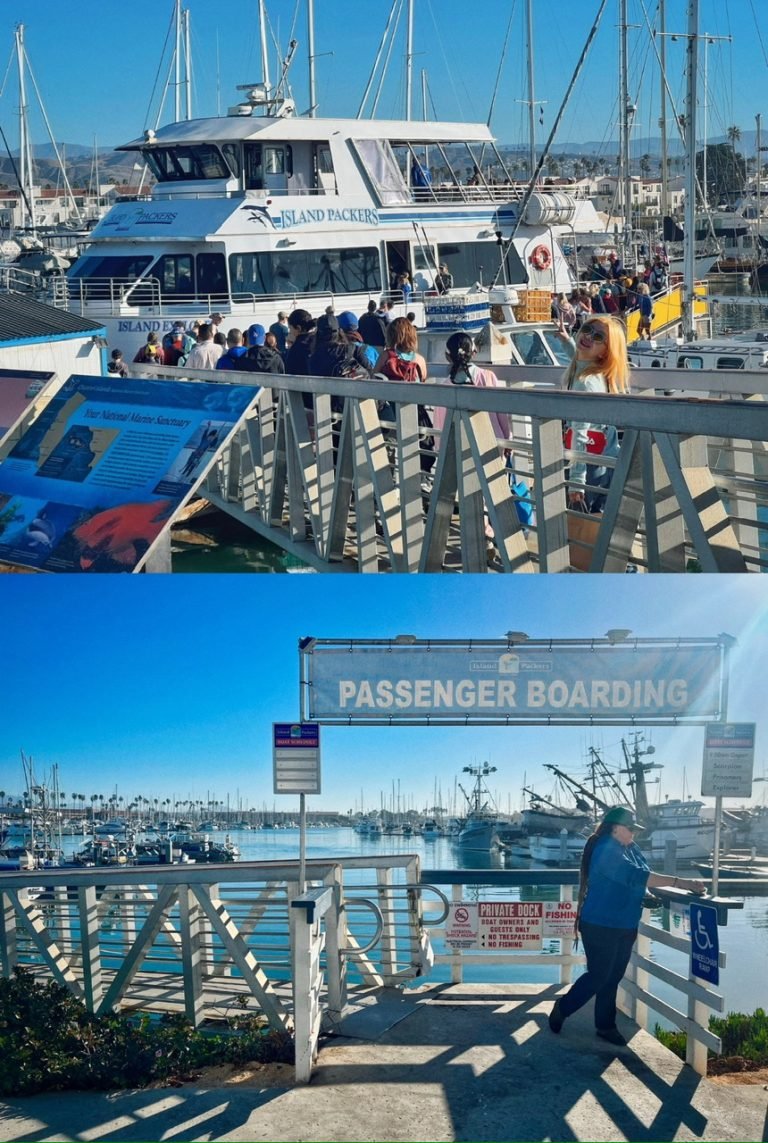 11.CHANNEL ISLAND NATIONAL PARK