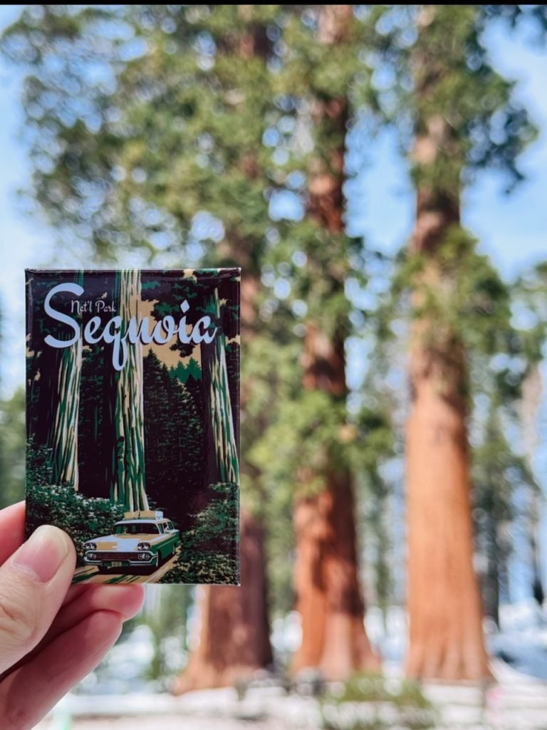 11.SEQUOIA NATIONAL PARK