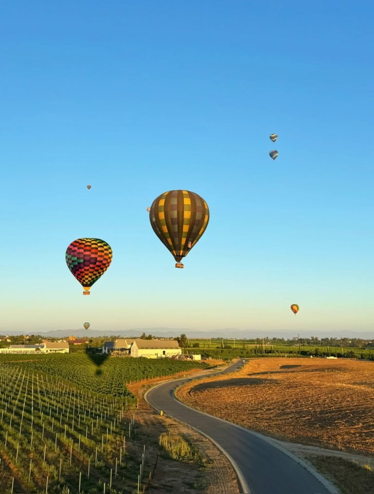 15.HOT AIR BALLON TAMECULA