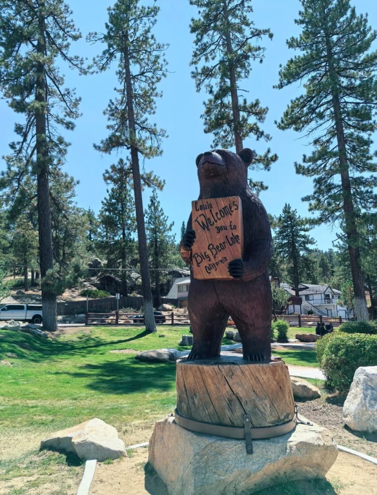 17.BIG BEAR