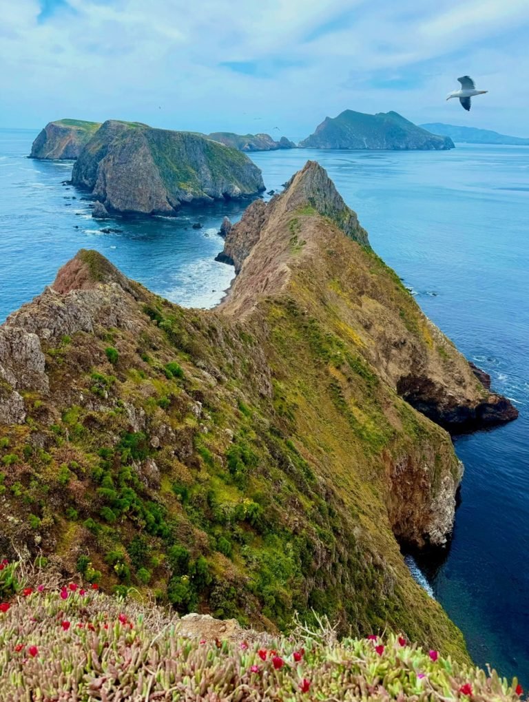 2.CHANNEL ISLAND NATIONAL PARK