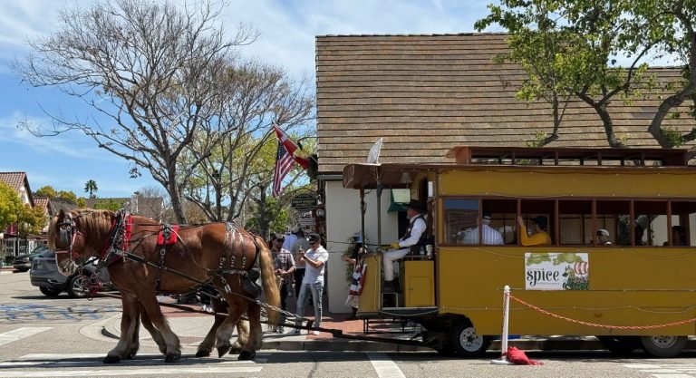 21.SOLVANG HORSES