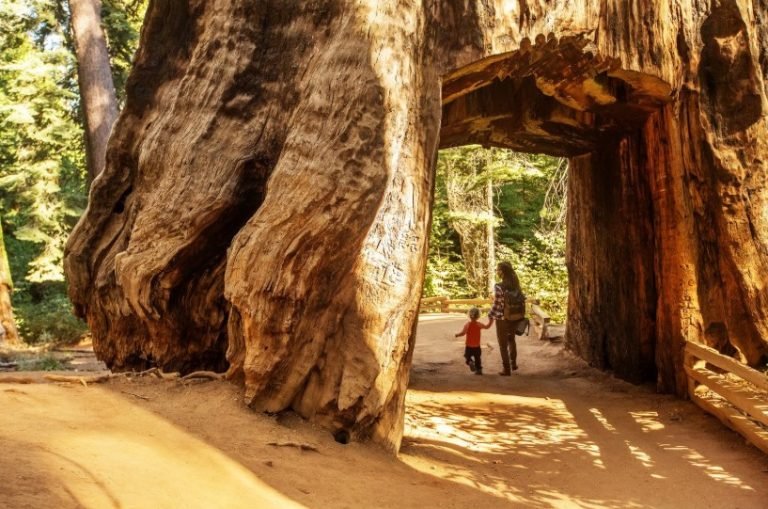 3.YOSEMITE NATIONAL PARK