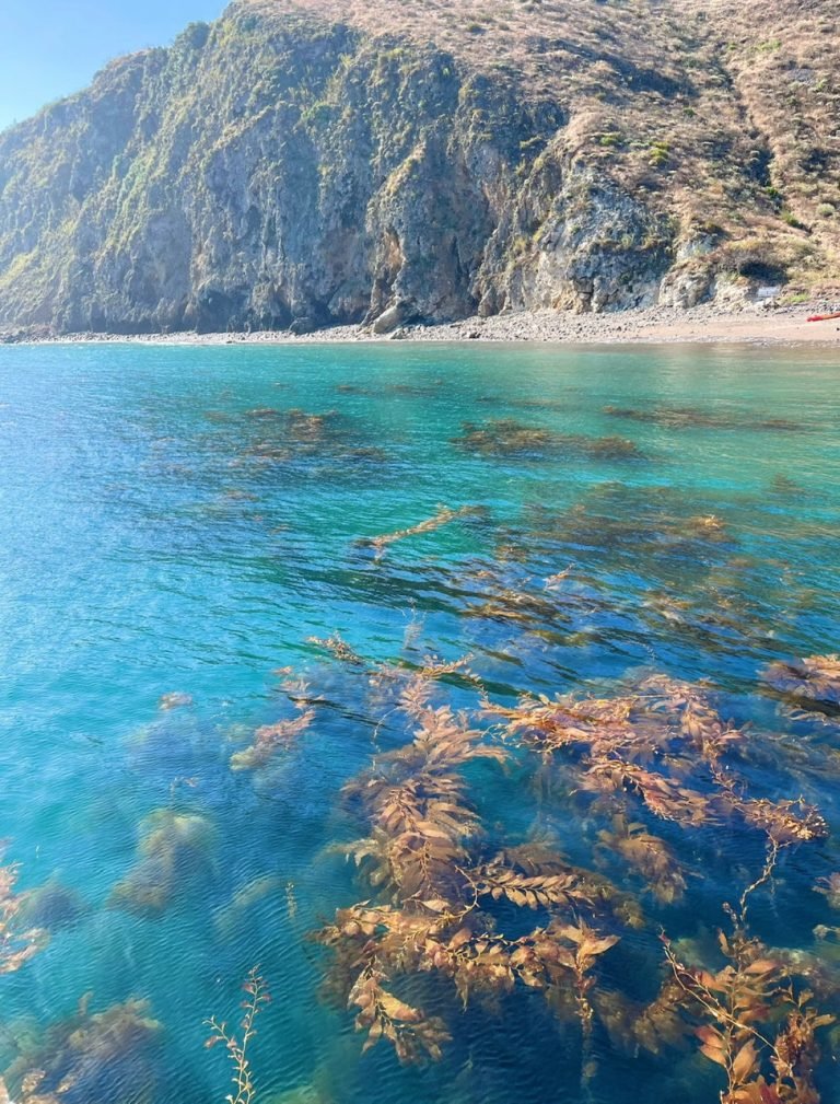 4.CHANNEL ISLAND NATIONAL PARK