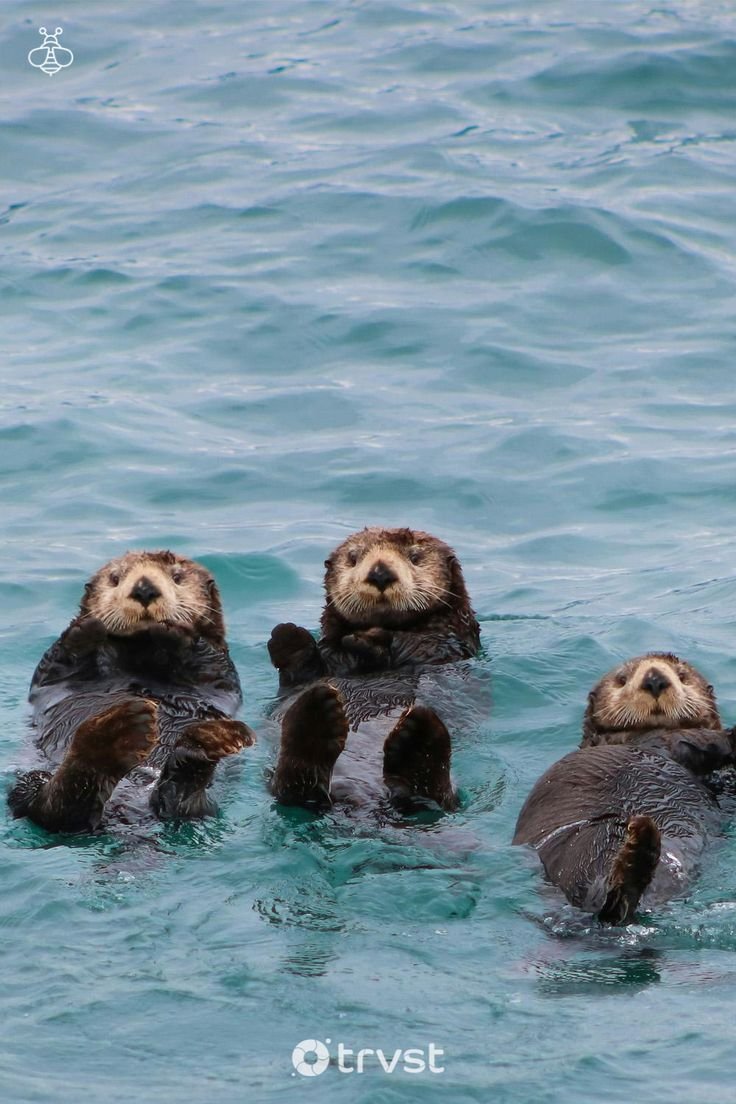 43e2051e0a1dd07f7c4b6a0f63a4fc76