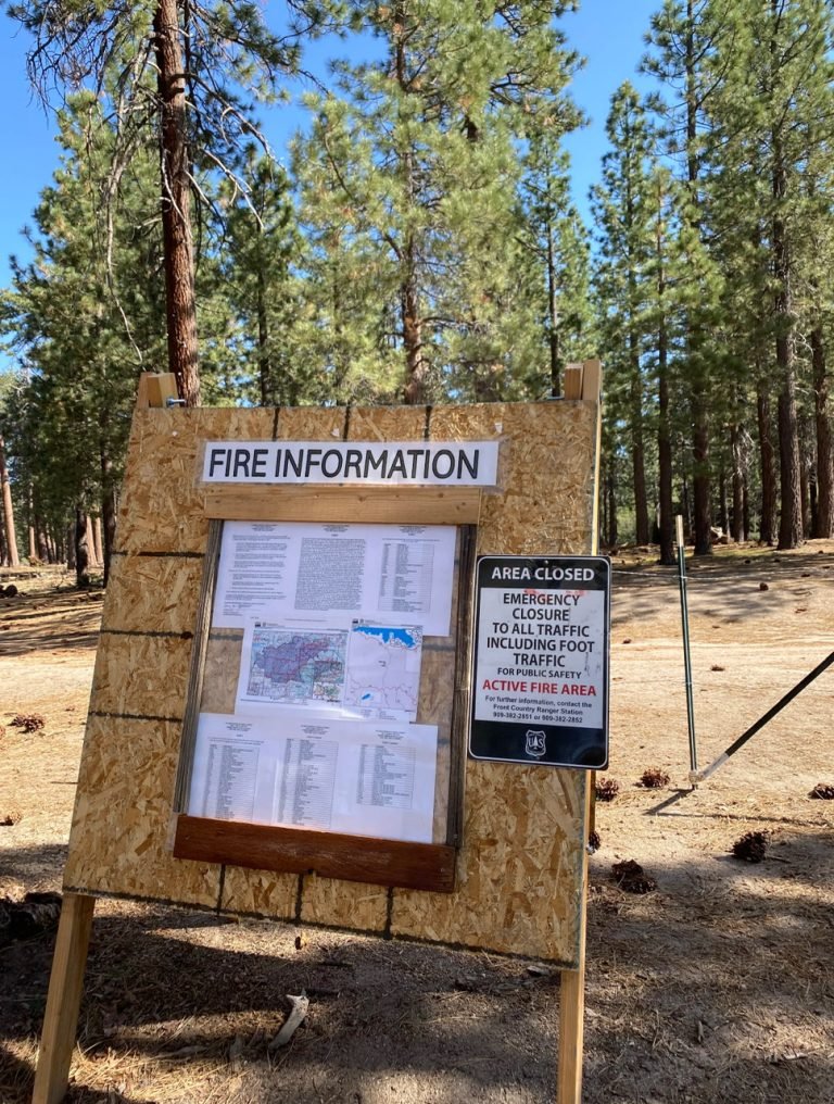 5.BIG BEAR DIRECTION