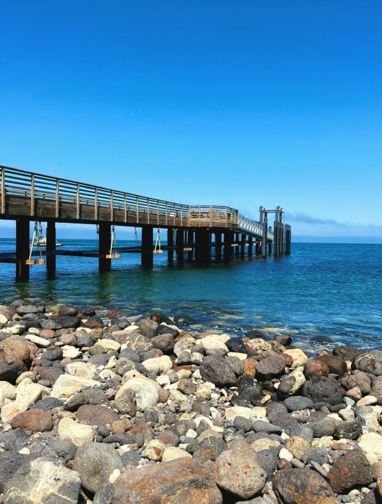 5.CHANNEL ISLAND NATIONAL PARK