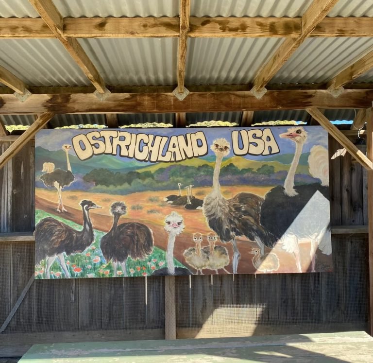 5.OSTRICH USA SIGN