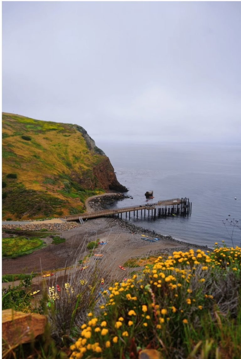 7.CHANNEL ISLAND NATIONAL PARK