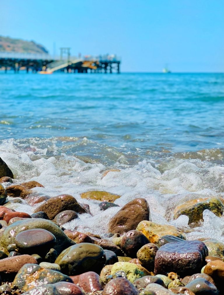 8.CHANNEL ISLAND NATIONAL PARK