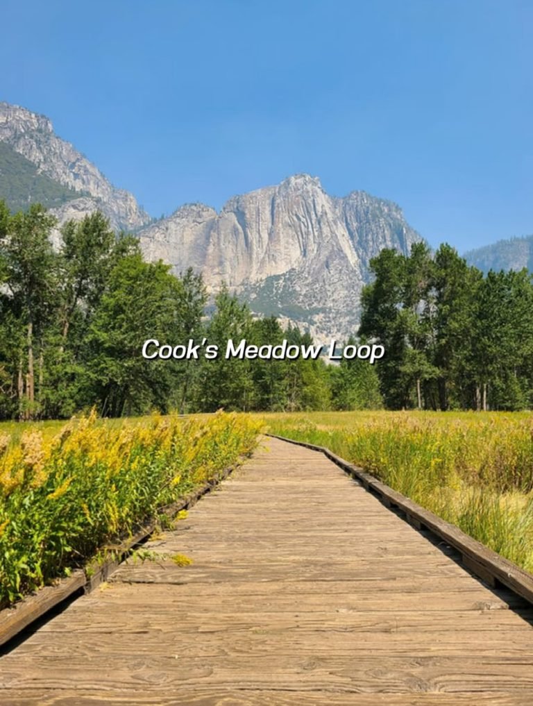 COOK'S MEADOW LOOP