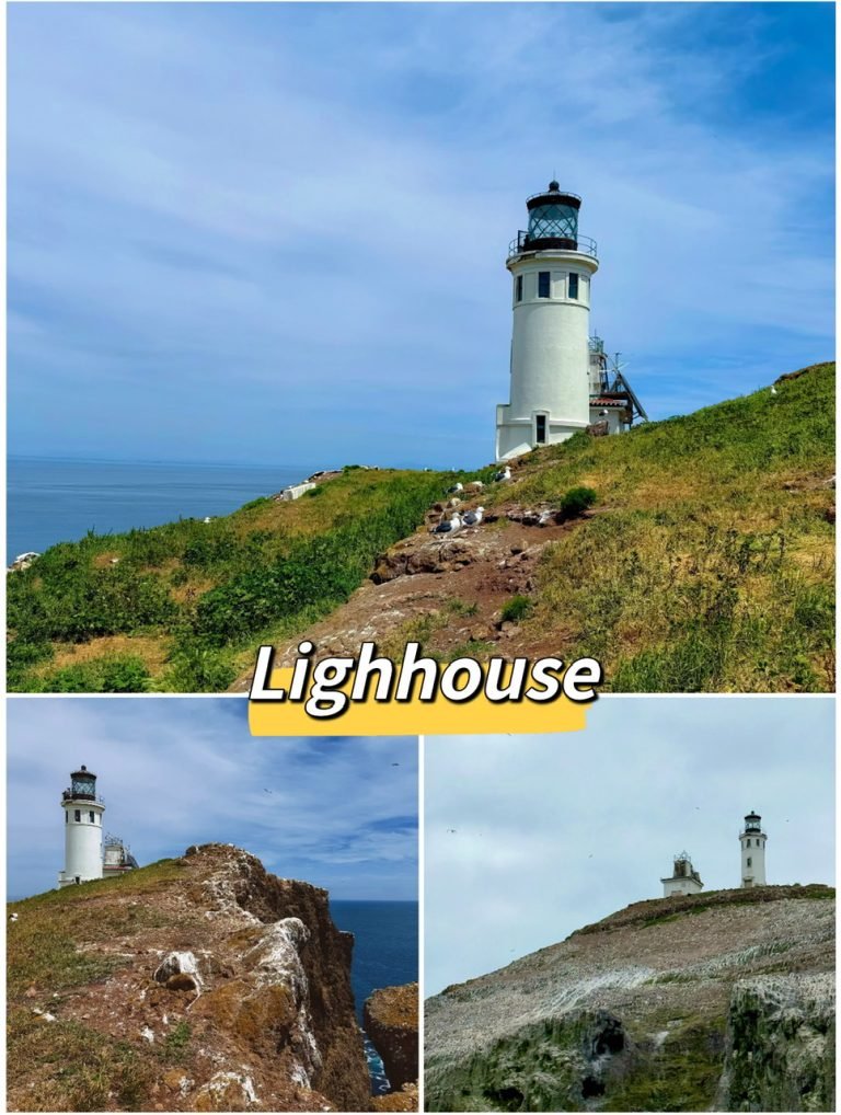 LIGHT HOUSE
