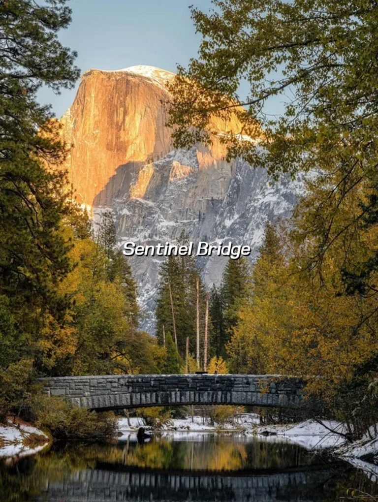 SENTINEL BRIDGE