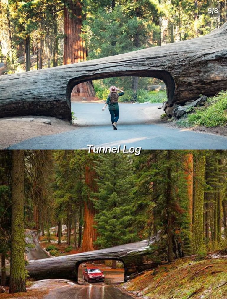 TUNNEL LOG 1