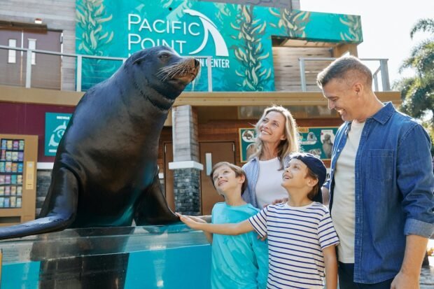 Ultimate-VIP-Tour-animal-encounter-courtesy-of-SeaWorld-620x413