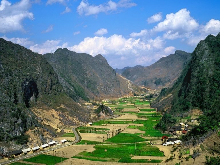 tfd_240925115044_608661_LUNG CAM (2)