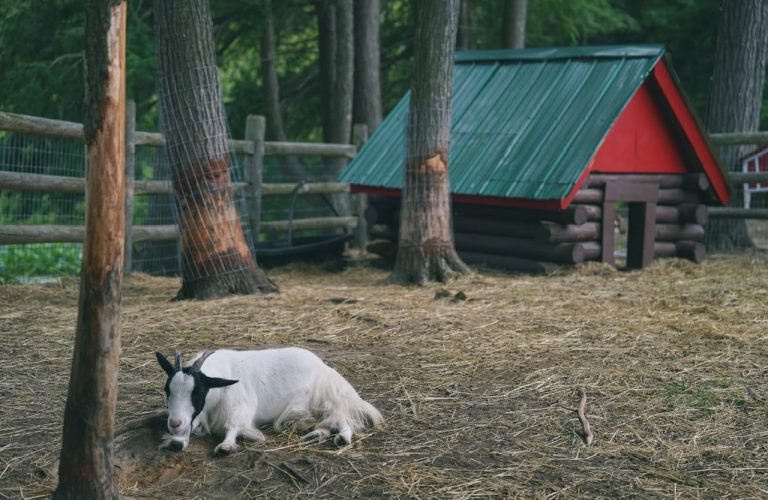 z6765888082769_e1e94d61e52a85f41dfc262095439abe