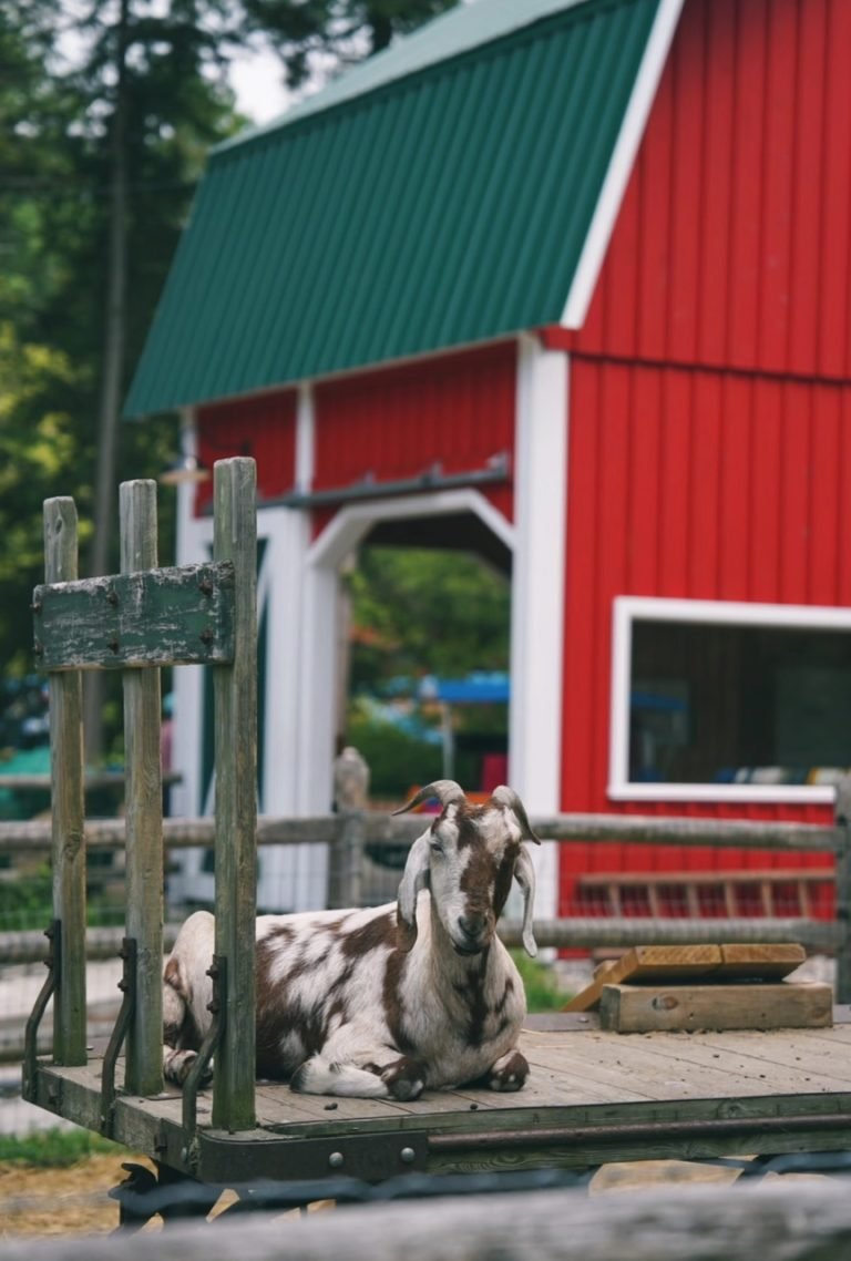 z6765888087476_bee5aa9054442f975298ff71611ab4b4