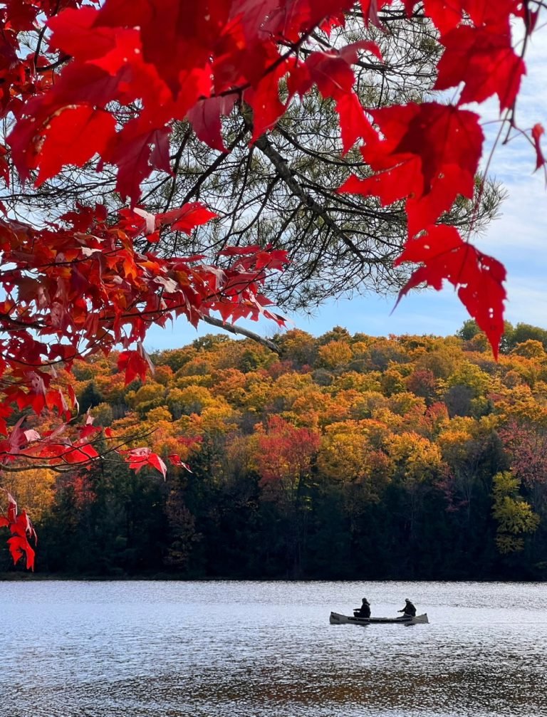 z6765903904366_85b03375639bf5497869abb603af1bb7