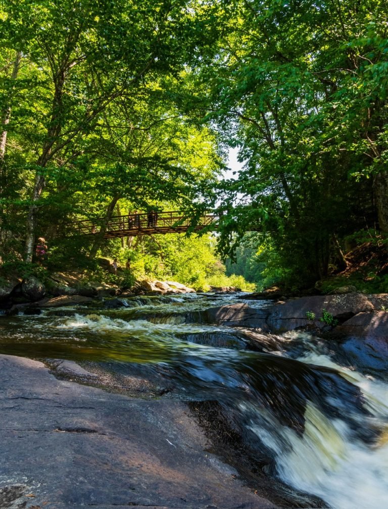 z6765903913361_1be257fe55ea37577ac4f430d1003775