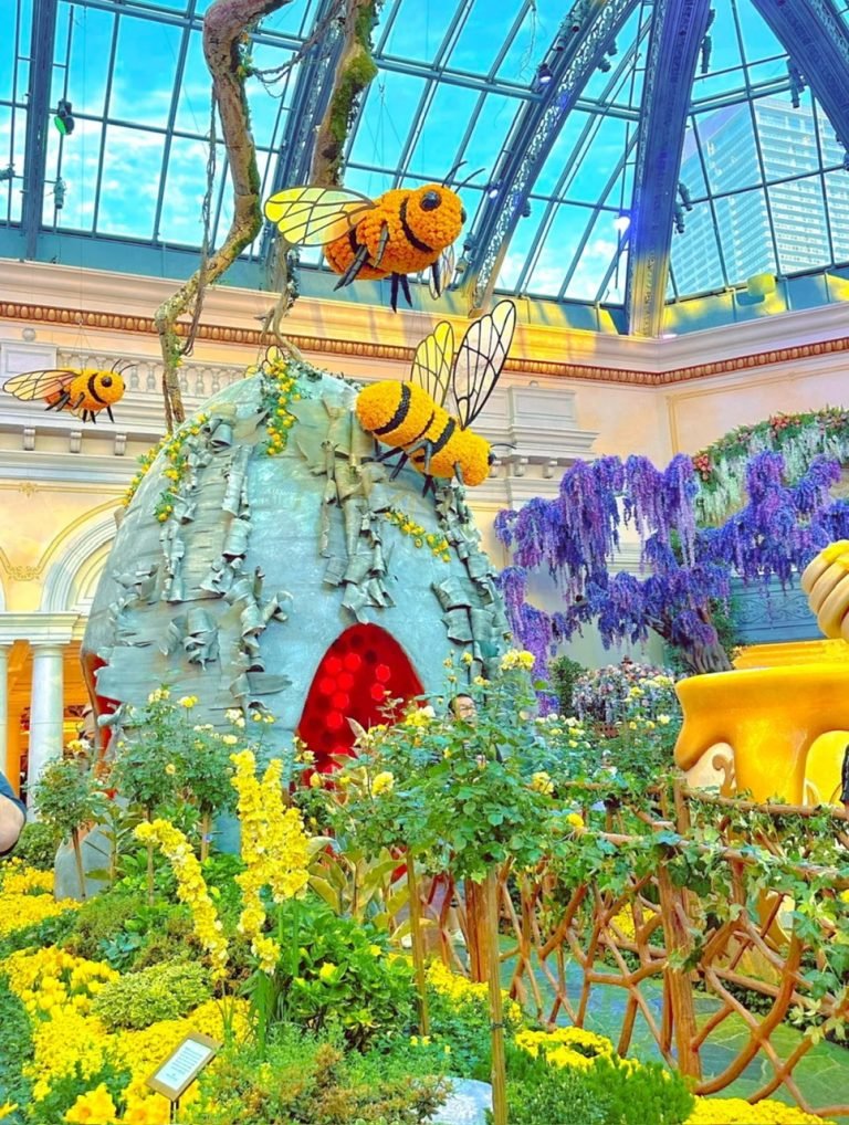 z6785462717744_748956fd76dd597308a467ad267e8a5a