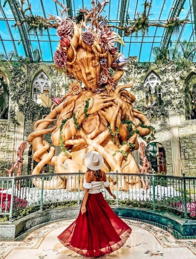 z6785462857417_1e43357aa43885a826eb8cd0821f5597