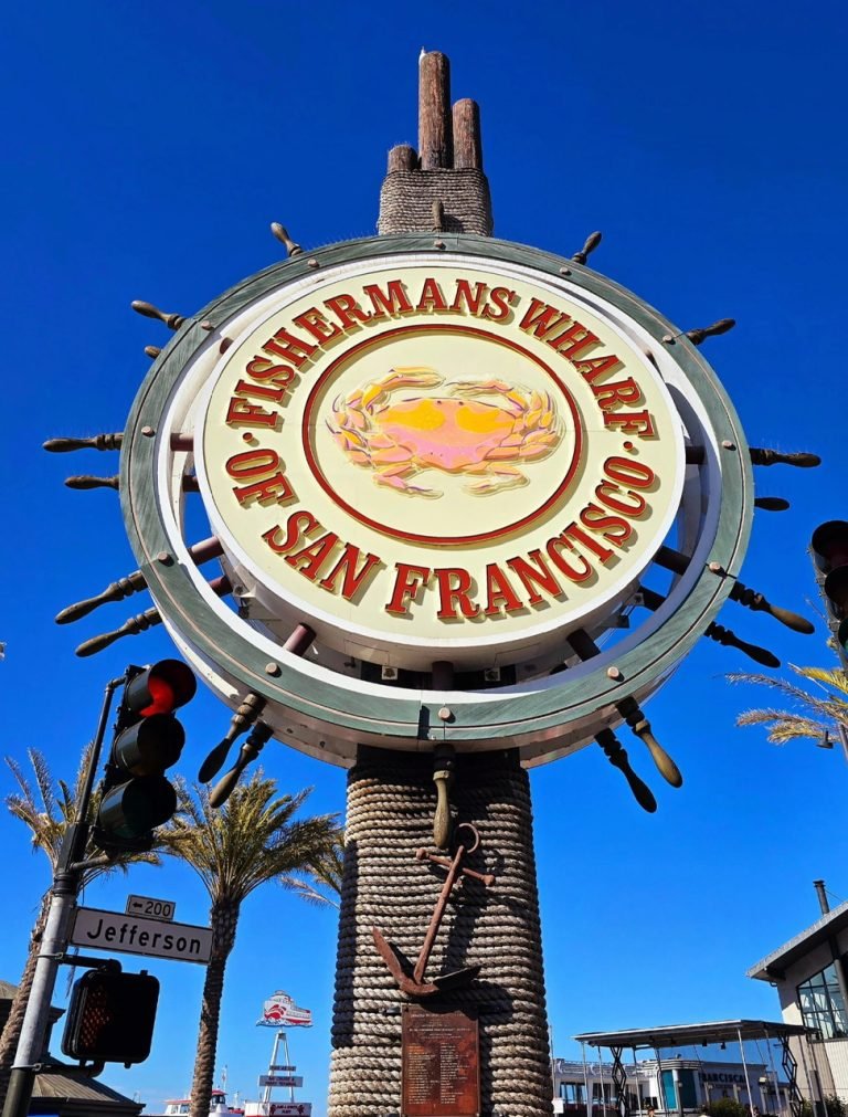 z6785467313073_9ec8f125a0c6fe2c52a3da0a7acc8eff