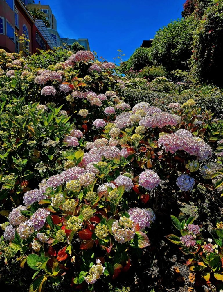 z6785467322328_2d0d865c8a8328598735c2e78396af8e